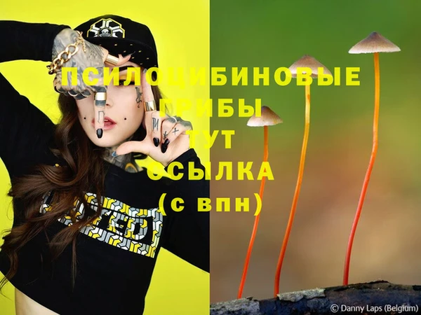 ALPHA-PVP Алексеевка